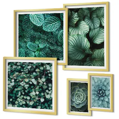Gallery wall plant leaves succulents nature print