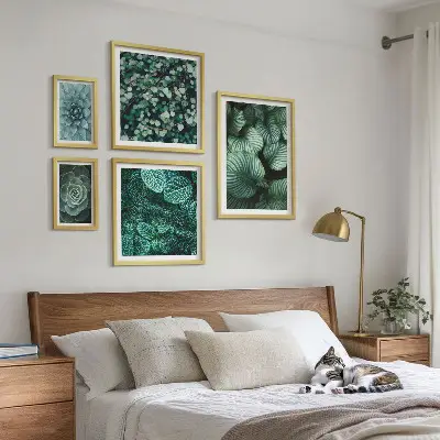 Gallery wall Plant leaves succulents nature