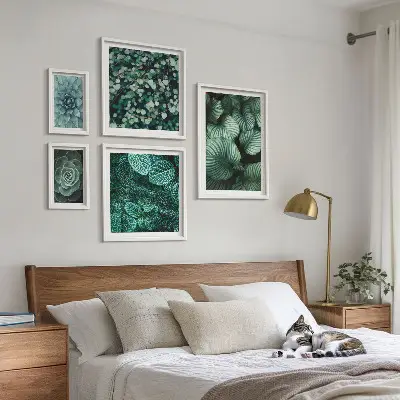 Gallery wall Plant leaves succulents nature