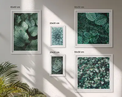 Gallery wall plant leaves succulents nature print