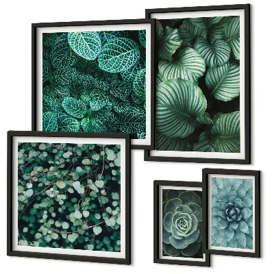 Gallery wall plant leaves succulents nature print