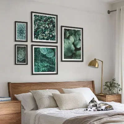 Gallery wall Plant leaves succulents nature