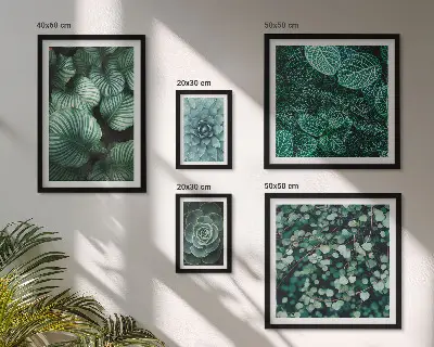 Gallery wall plant leaves succulents nature print