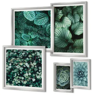 Gallery wall Plant leaves succulents nature
