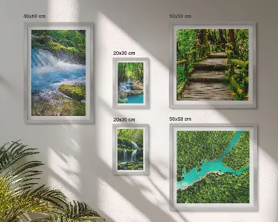 Gallery wall Green oases of peace in the forest