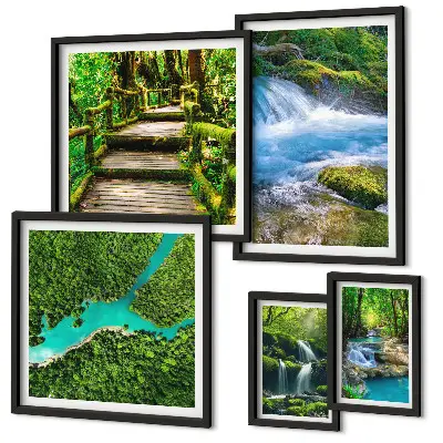 Gallery wall Green oases of peace in the forest