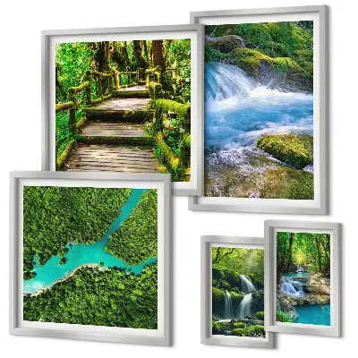Gallery wall Green oases of peace in the forest
