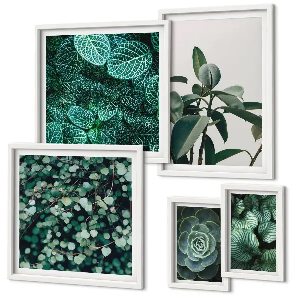 Framed photo set Plant motifs green leaves