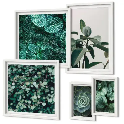 Framed photo set Plant motifs green leaves
