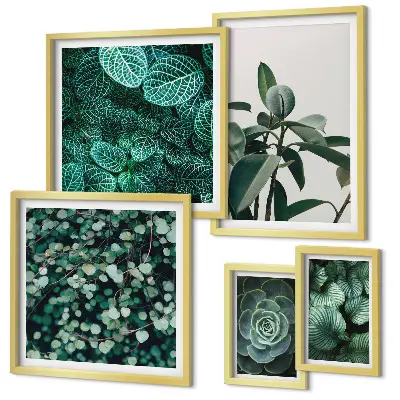 Framed photo set plant motifs with green leaves