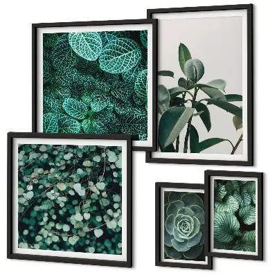 Framed photo set Plant motifs green leaves
