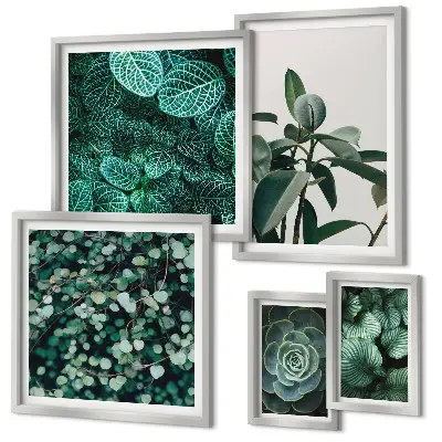 Framed photo set Plant motifs green leaves