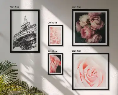Framed photo set Roses Eiffel Tower Romanticism