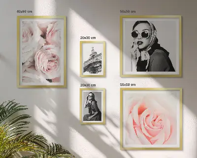 Framed photo set Stylish portraits of roses elegantly