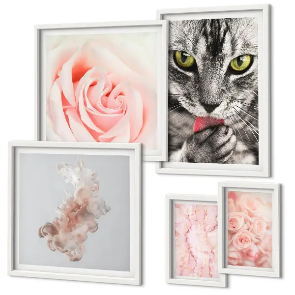 Gallery wall Cats roses delicate shades