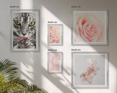 Gallery wall Cats roses delicate shades