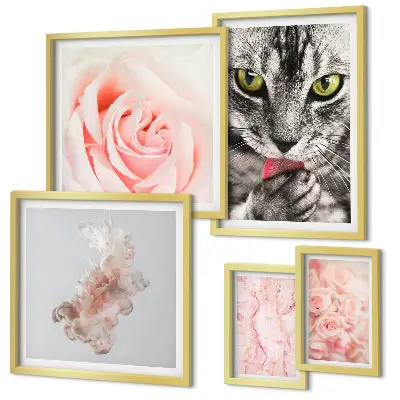Gallery wall cats and roses in delicate shades