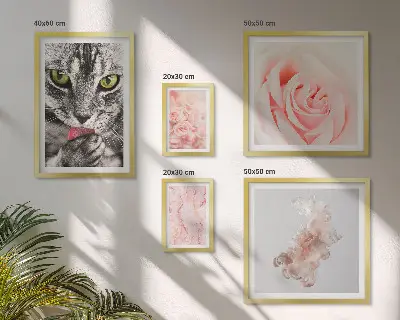Gallery wall Cats roses delicate shades