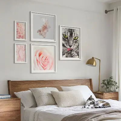 Gallery wall cats and roses in delicate shades