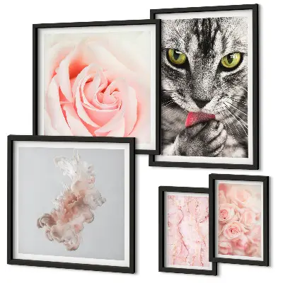Gallery wall Cats roses delicate shades