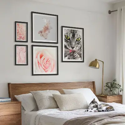 Gallery wall cats and roses in delicate shades
