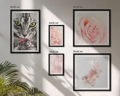 Gallery wall Cats roses delicate shades