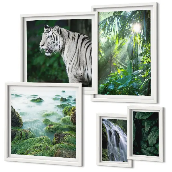 Gallery wall Tropical nature animals