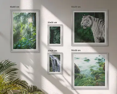 Gallery wall Tropical nature animals