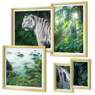 Gallery wall Tropical nature animals