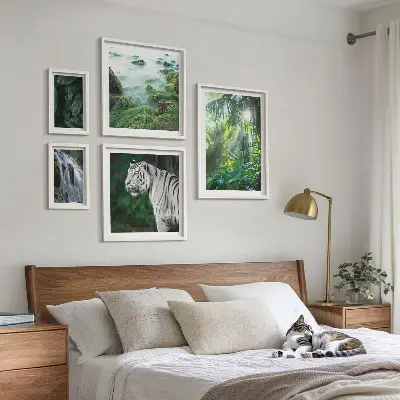 Gallery wall Tropical nature animals