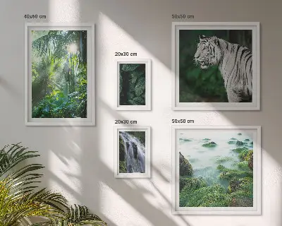 Gallery wall Tropical nature animals