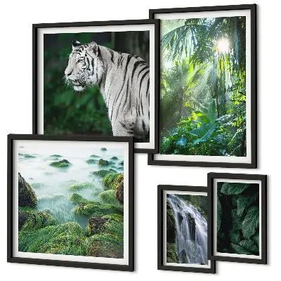 Gallery wall Tropical nature animals