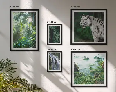 Gallery wall Tropical nature animals