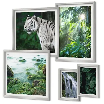 Gallery wall Tropical nature animals