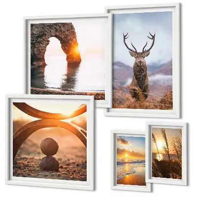 Nature wild animals framed photo set featuring a harmonious wildlife scene