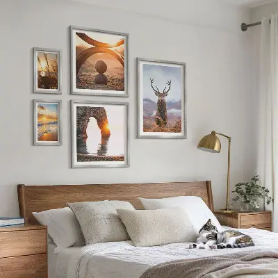 Framed photo set Nature wild animals harmoniously