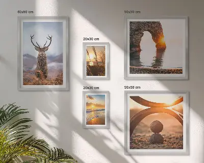 Nature wild animals framed photo set featuring a harmonious wildlife scene