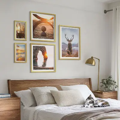 Framed photo set Nature wild animals harmoniously