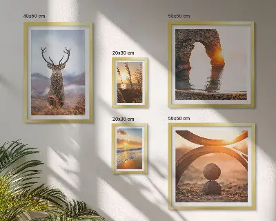 Nature wild animals framed photo set featuring a harmonious wildlife scene
