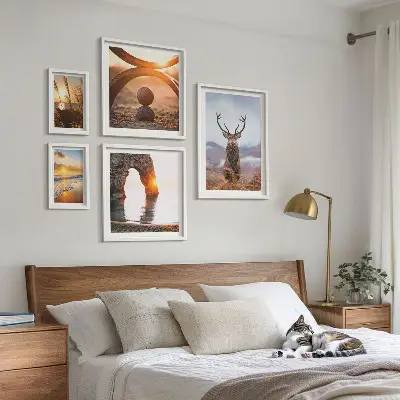Nature wild animals framed photo set featuring a harmonious wildlife scene