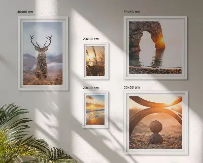 Framed photo set Nature wild animals harmoniously