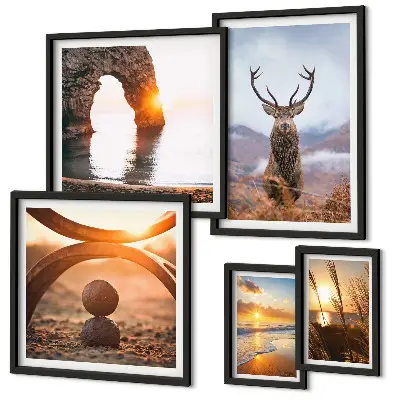 Nature wild animals framed photo set featuring a harmonious wildlife scene