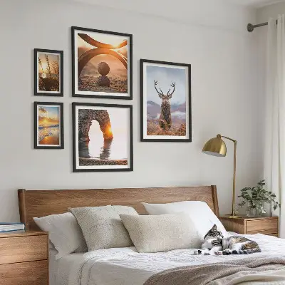 Framed photo set Nature wild animals harmoniously