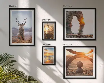 Nature wild animals framed photo set featuring a harmonious wildlife scene