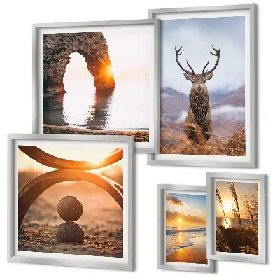 Nature wild animals framed photo set featuring a harmonious wildlife scene