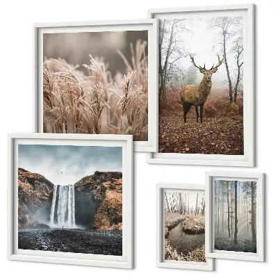 Framed photo set Wildlife landscapes