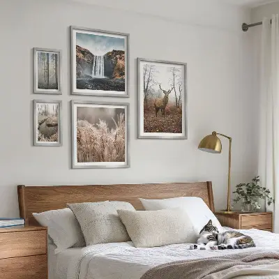 Framed photo set Wildlife landscapes
