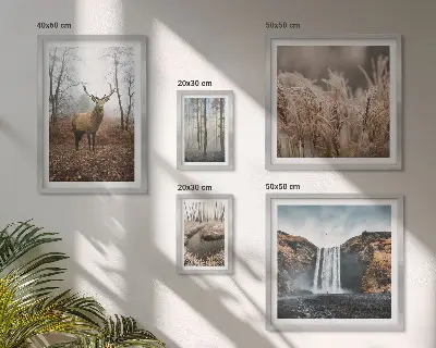 Framed photo set Wildlife landscapes