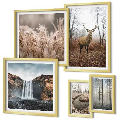Framed photo set Wildlife landscapes