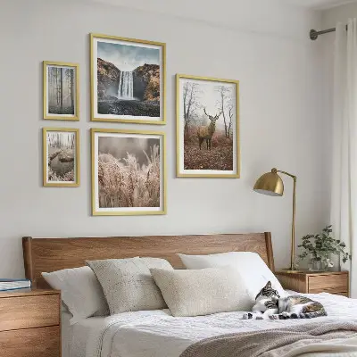 Wildlife landscapes framed photo set